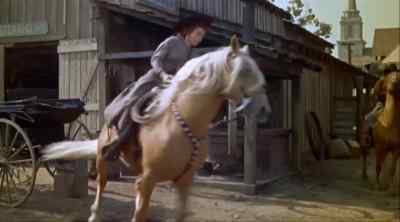Ed, forest fire
in back of my ranch! - Guns of the Timberland
