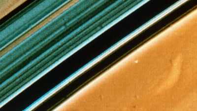 [Ed] We had estimated that
there were hundreds of rings. - It’s Quieter in the Twilight