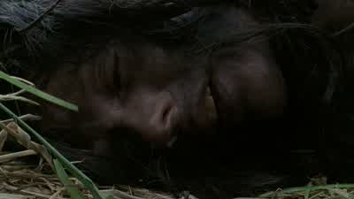 Eddie-- Eddie killed-- killed them all. - The Walking Dead