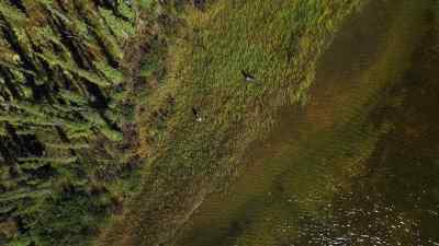 Edna: I DON'T THINK
WE'RE GONNA FIND IT. - The Last Alaskans