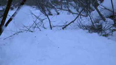 EDNA RUBBED THAT STUFF
ON MY BACK, - The Last Alaskans