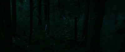 Edward, I said leave me alone. - Twilight