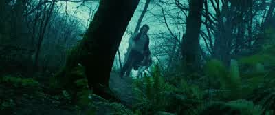 EDWARD: Rosalie, mark the tree. - Twilight