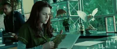 EDWARD: There must be something open. - Twilight