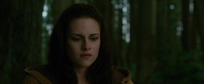 Edward what happened with Jasper i s nothing - The Twilight Saga: New Moon