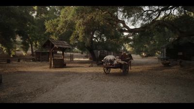 EDWARD:
Why have our friends
not come to visit this time? - American Horror Stories