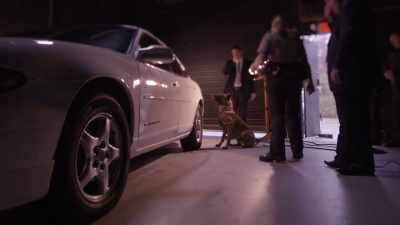 Edwards: THE DOG ALERTED - Casey Anthony: An American Murder Mystery