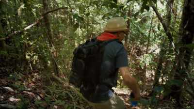 Edwin returns
from the fortified ridge, - Lost Treasures of the Maya