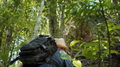 Edwin Roman-Ramirez
has followed - Lost Treasures of the Maya