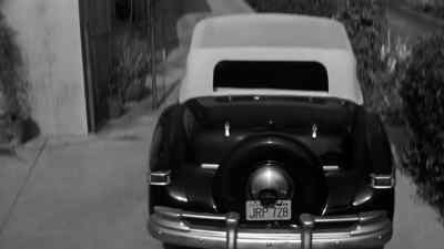 EDWIN:
This is really a rather charming neighborhood. - What Ever Happened to Baby Jane?