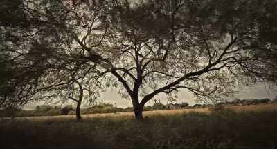 (Eerie, humming music) (Rustling grass) - Haunted Valley