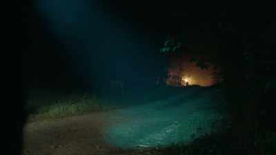 ♪ (EERIE MUSIC PLAYING) ♪ - Alabama Snake