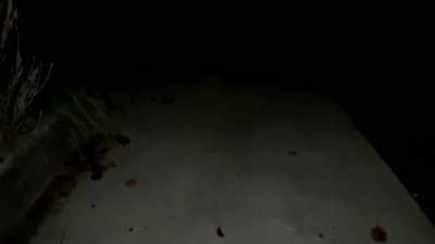 [eerie music] - He's Watching
