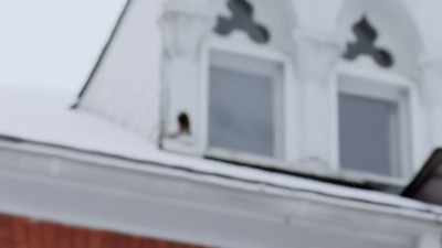 [eerie music] - Little Girl in the Window