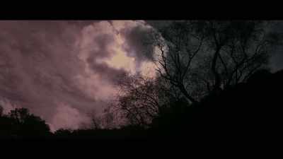 [eerie music] - Identifying Features