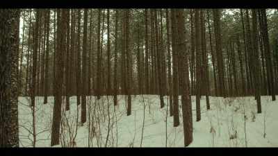 [Eerie Music] - Cardinal