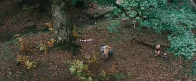 Eeyore, you've got a...
a something... - Christopher Robin