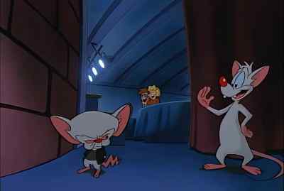 EGAD, BRAIN! NARF!
THEY LOVED YOU! - Pinky and the Brain