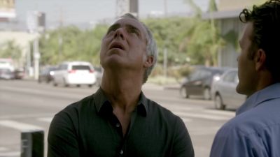 Eh, I recognized you
from yesterday. - Bosch