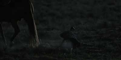 - - Oh! - Yellowstone