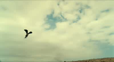 Eh, whoa. - Wrath of the Titans