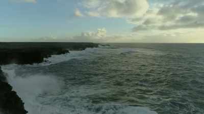 Eider always nest
near the shoreline, - Wild Ways of the Vikings