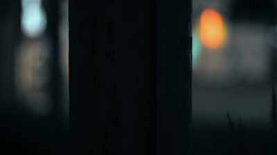Eight women had been
viciously assaulted, - 35 Serial Killers the World Wants to Forget