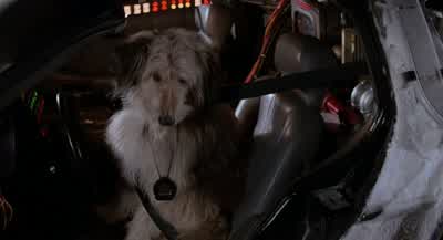 Einstein, you little devil! - Back to the Future