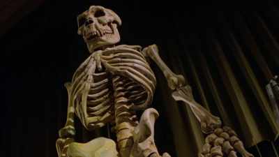 Either this creature split
off so far back in time - The Primevals