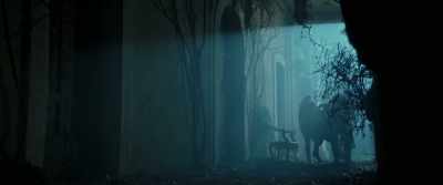 Either you spit them out or
hang yourself at the first tree. - Pinocchio