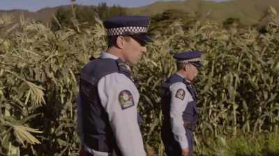Either that, or Sergeant Maaka
is right and it's, you know... - Wellington Paranormal
