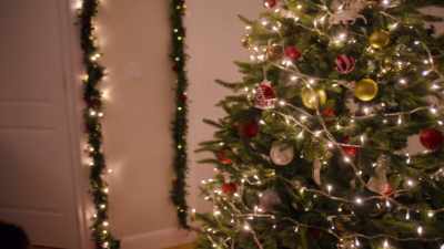 Either way, I experienced
firsthand what the magic - Joyeux Noel
