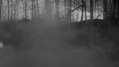 (Elaine moaning) - The Horror of Party Beach