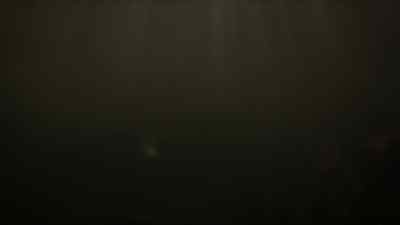 Elasmosaurs. - Prehistoric Planet