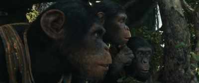 Elder Luna is elder. - Kingdom of the Planet of the Apes
