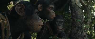 Elder Luna says make
your heart still. - Kingdom of the Planet of the Apes