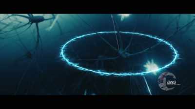 Electrical signals that relate
to patterns of growth. - Remnant