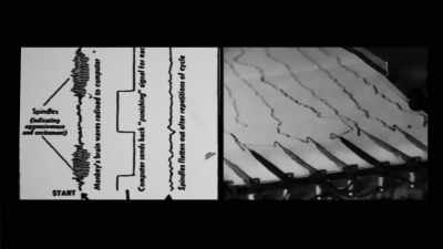 Electrical stimulation of one cerebral structure - The Minds of Men