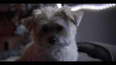 [electrical zapping] - AIMEE: The Visitor