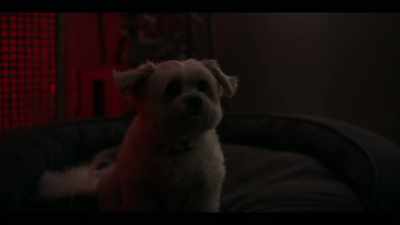 [electrical zapping] - AIMEE: The Visitor