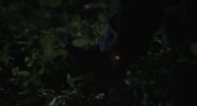 -(ELECTRICITY BUZZING)
-(GUNFIRE STOPS) - Beau Is Afraid
