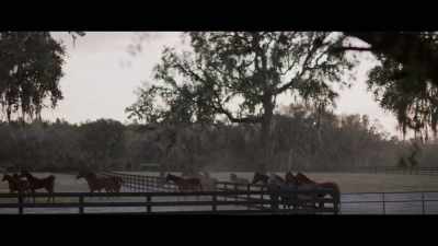 Electrocuting a horse mimics colic, - Bad Sport