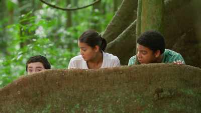 Electromagnetic field meter,
used for measuring energy. - Rock Island Mysteries