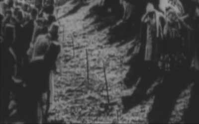 Elefantul - cel mai mare dintre
creaturile de pe Pământ - Architects of Denial