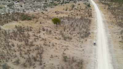 Elephant corridors are lifelines. - In the Footsteps of Elephant