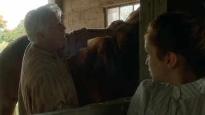 elephant - Anne of Green Gables: Fire & Dew