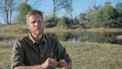 Elephants are being orphaned or abandoned
because of poaching, - In the Footsteps of Elephant