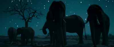Elephants form deep
emotional bonds. - Our Universe