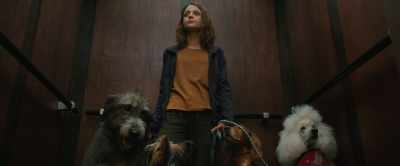 [elevator dings] - A Dog's Journey
