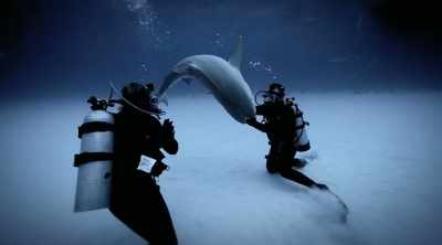ELI (off-screen): It was
just one of those beautiful, - Shark Attack Files